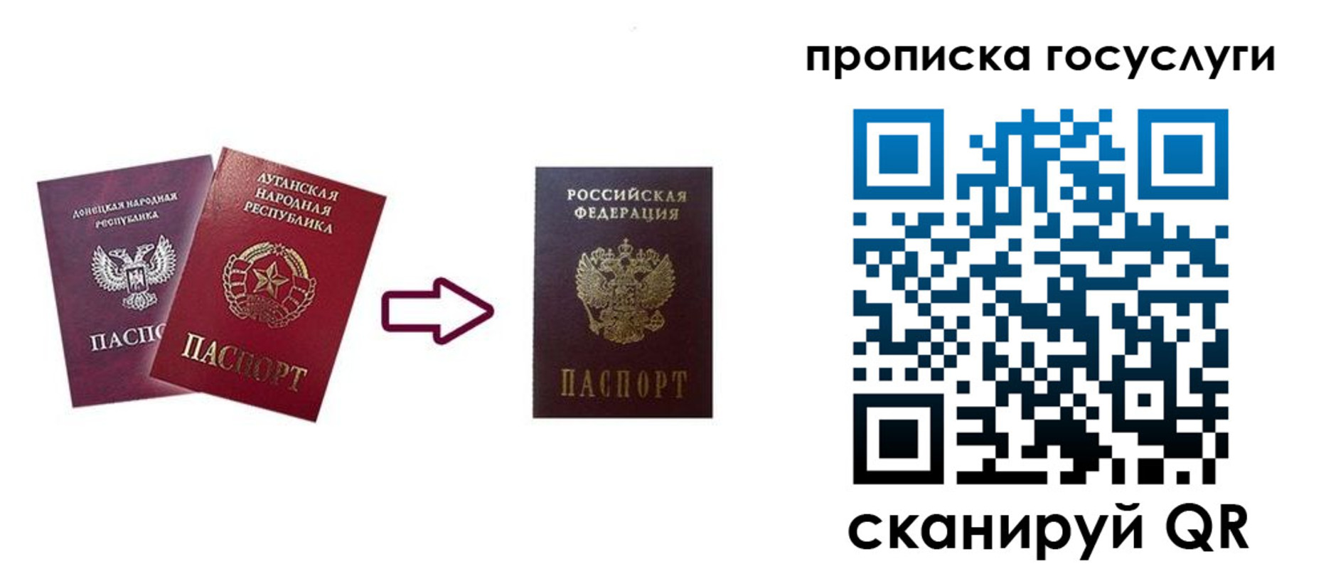 прописка 2025 в Королёве